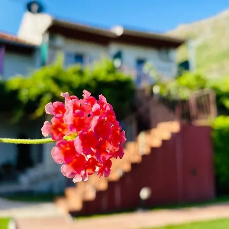 Tabain شقة مْليني