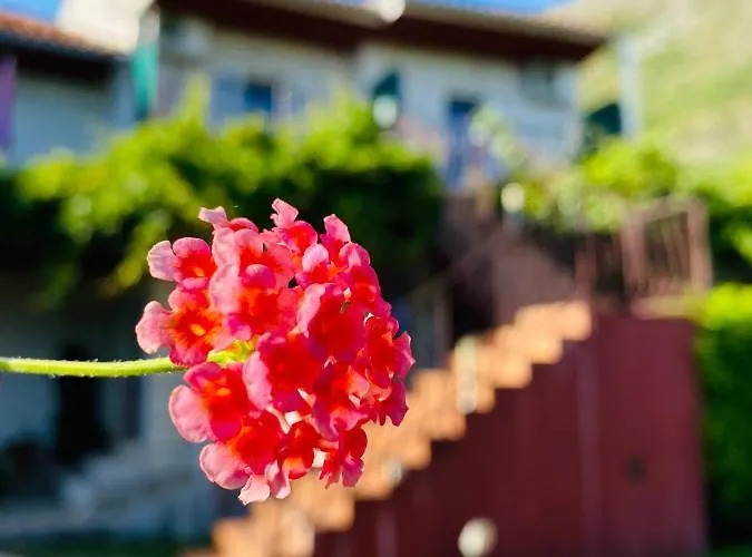 Tabain Apartamento Mlini